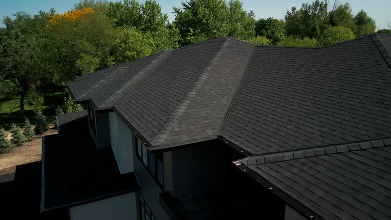 Best Roof Ventilation Installation  in Vienna, VA